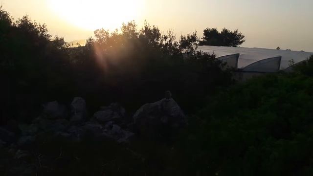 Наскальные зайцы ( даманы )медитируют.שפני סלע בטיילת שכניה смотреть онлайн