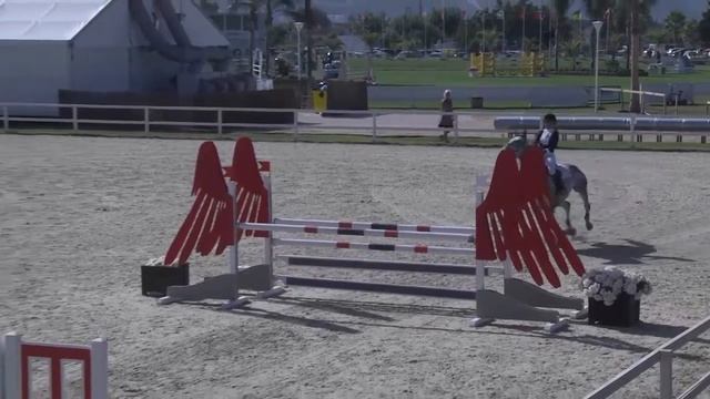HEBE VAN'T PELMENHOF - Lucinda Roche - Bronze 2 - Valencia (26.10.2014) смотреть онлайн
