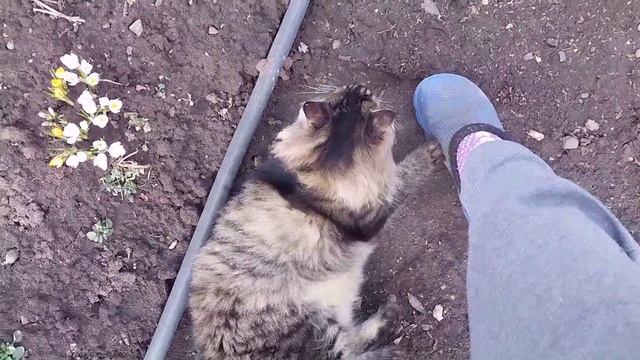 Люська,Рикки и мои будни🤩👋 смотреть онлайн