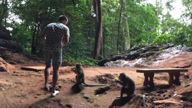 Thailand Vlog | vladaaaua смотреть онлайн