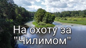 На охоту за Чилимом. Водяной орех Чилим