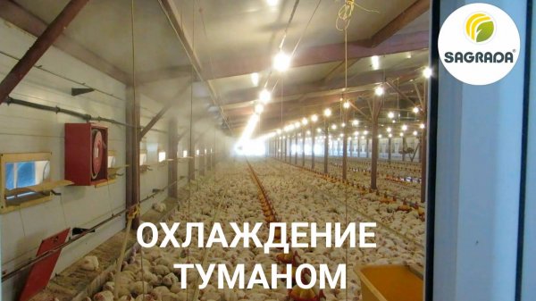 Туманное охлаждение в птичнике | Система орошения SAGRADA