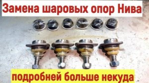 ЗАМЕНА НИЖНИХ ШАРОВЫХ. Нива. Поймёт даже новичок. ПРОСТОЙ СПОСОБ в домашних условиях.