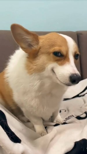 Танцуем, как умеем!