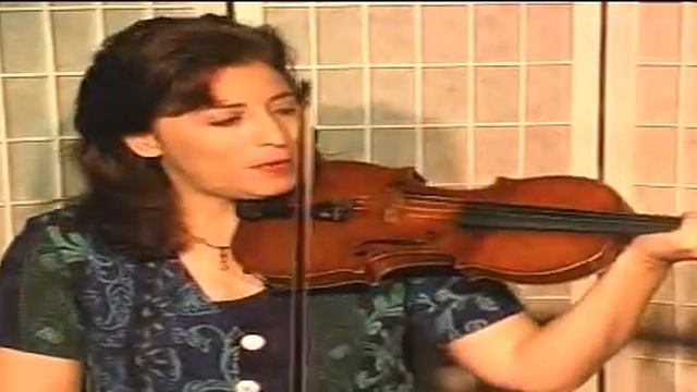 Violin Lesson - Theory - Chromatic Scale смотреть онлайн