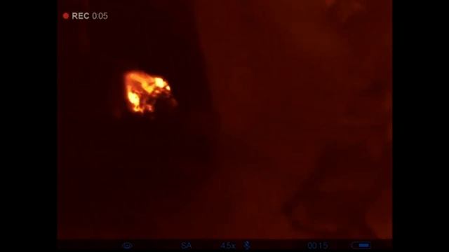 Wildschweine mit Pulsar Wärmebildkamera Ich kann sie nur empfehlen Pulsar Axion XM30S смотреть онлайн