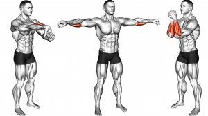 Упражнения для разминки Рук и Плеч