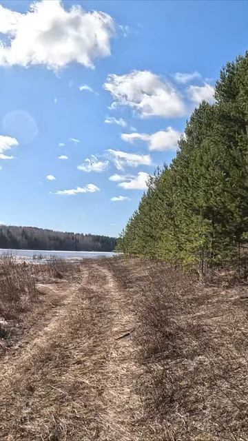 Лес, прогулка по берегу смотреть онлайн
