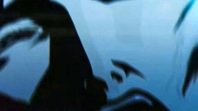 MONTAGEM - FIM DE ANO|EDIT ANIME FUNK| RMK (ANIMATRIX)| смотреть онлайн