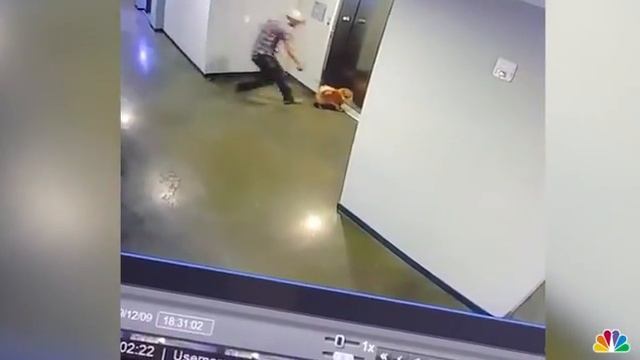 WATCH Man Rescues Dog After Leash Gets Caught in Elevator – смотреть онлайн