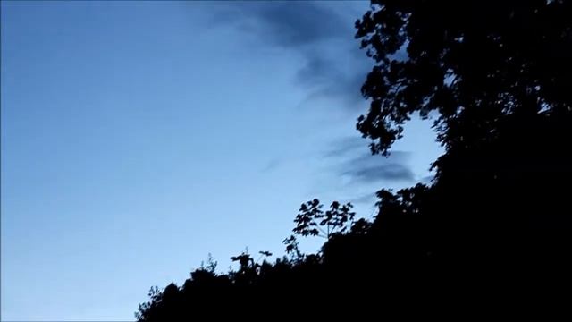 Mike Jutan in Peru: Amazon jungle - "Avatar" tree, boat exploration, bats, night sounds смотреть онлайн