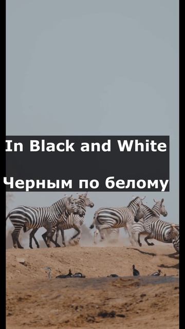 Какую идиому используете чаще всего? #английскийразговорный смотреть онлайн