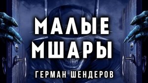 МАЛЫЕ МШАРЫ | ГЕРМАН ШЕНДЕРОВ ПРЕДСТАВЛЯЕТ