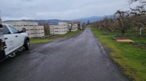 1000278778.mp4 Какие пакеты и разгрузка пчел на опыление груши