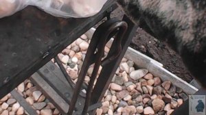 Рыбные шарики с копченой паприкой во фритюре