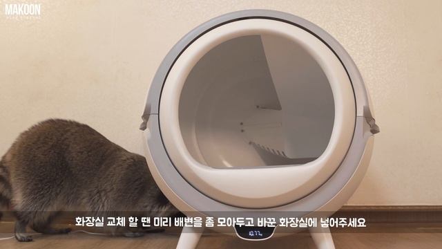 50만원짜리 화장실 받자마자 찢어버리기 | 마쿤이에게 협찬을? 광고주님 실수하신겁니다 | 고양이 화장실을 사용하는 너구리 смотреть онлайн