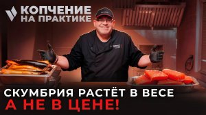 Копчение рыбы в ИЖИЦА-1200М4-А: быстрый результат и высокий доход! Электростатическое копчение.