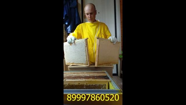 Цветочный мед из деревни Кукуйка смотреть онлайн