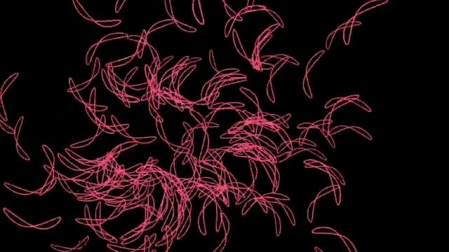 B-Spline Particle Emitter смотреть онлайн