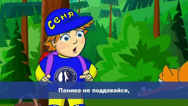 Социальные программы ООО «Сахалинская Энергия»