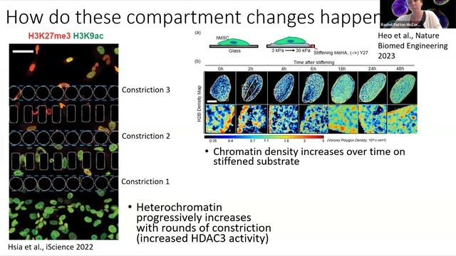Alterations in Spatial Genome Compartmentalization Associated with Constriction and Expansion смотреть онлайн
