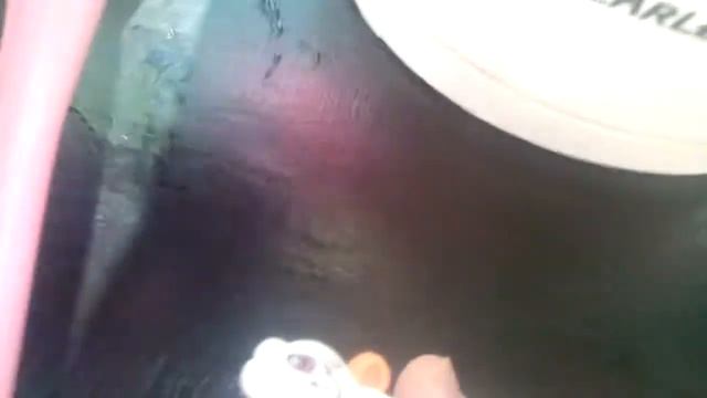 Опыты над пони (*_ *) смотреть онлайн