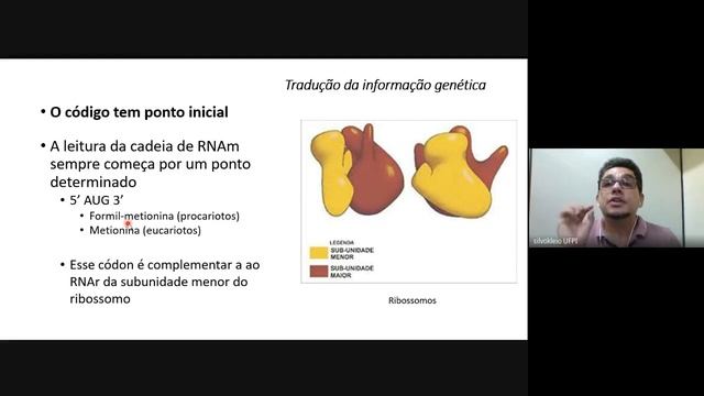 Aula 06 Tradução da informação genética смотреть онлайн