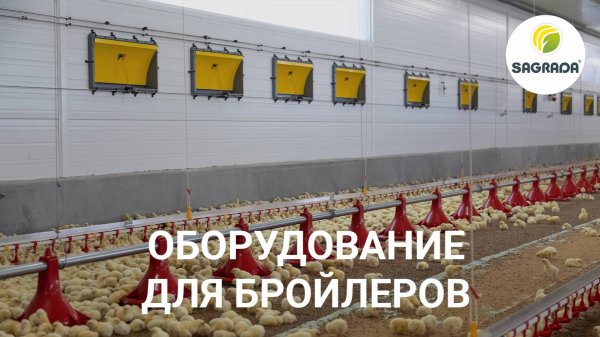 Оборудование для напольного содержания бройлеров | SAGRADA