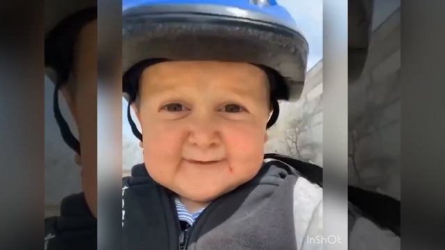 Хасбик мастер Ши Фу
Хасбик чиста Алльё