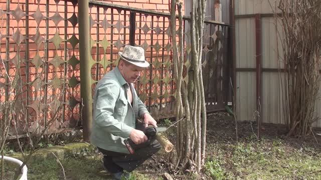 Уборка на даче// Обзор и испытание аккумуляторной, цепной, мини - пилы смотреть онлайн