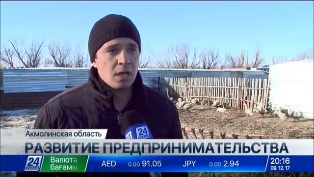 В Акмолинской области появится гусиная ферма смотреть онлайн