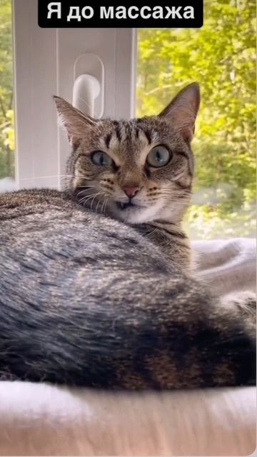 массаж