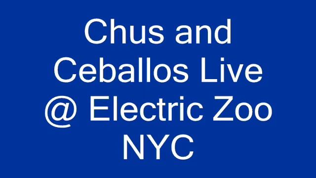 chus and ceballos live at Electric Zoo 090509 смотреть онлайн