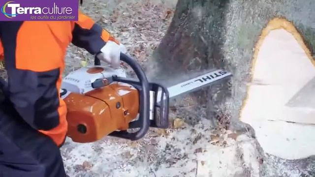 stihl ms 661 distribué par Terraculture