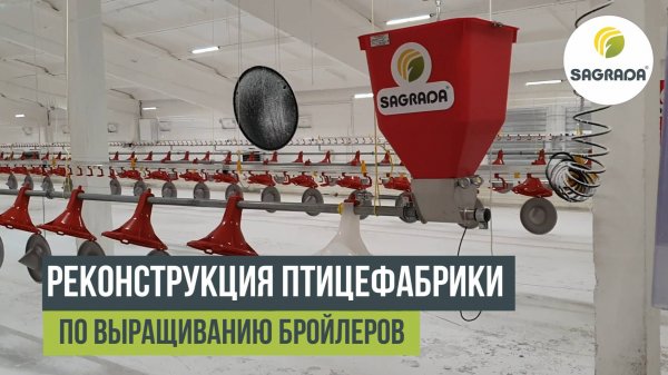 Реконструкция птицефабрики по выращиванию бройлеров | Проект SAGRADA