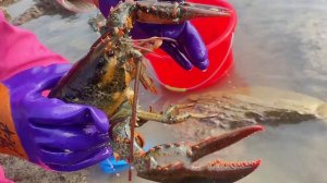 Сяо Чжан чуть не ударила по лицу большая рыба, когда она бросилась в море!