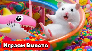 Лабиринт для Хомяка 🐹 Умный Хомяк сбегает из гигантского лабиринта с дверями! Невероятный побег