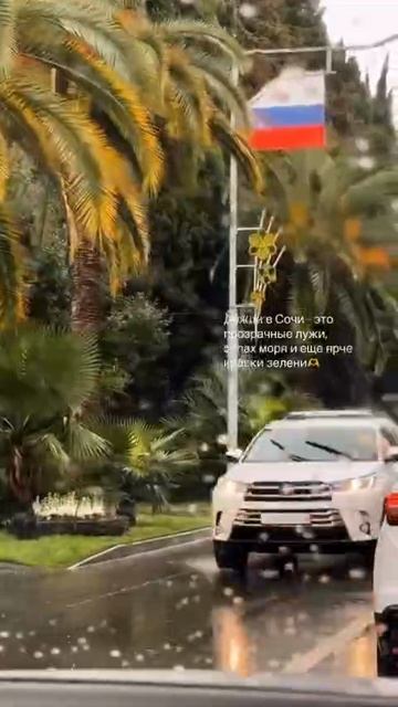 дожди в Сочи