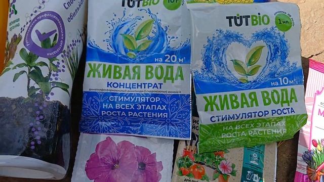 Снимаю видео в саду/Удобряшки и вкусняшки для растений/мои средства/как хорошо в саду 🌷🌷🌷 смотреть онлайн