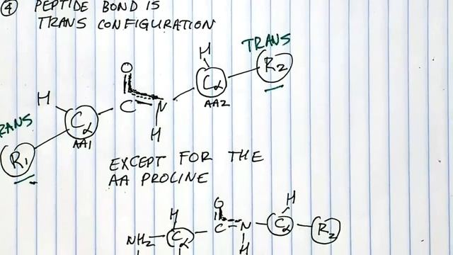 The Peptide Bond смотреть онлайн