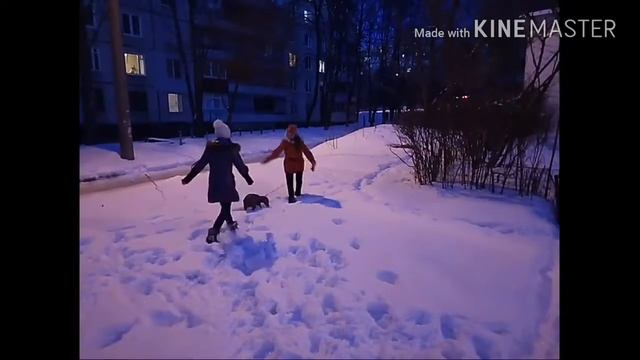 Короче говоря мы пошли гулять с собакой смотреть онлайн