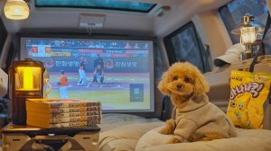 2-комнатный автомобильный кемпинг с моей собакой. Корейский острый суджеби. Дровяная печь, ASMR