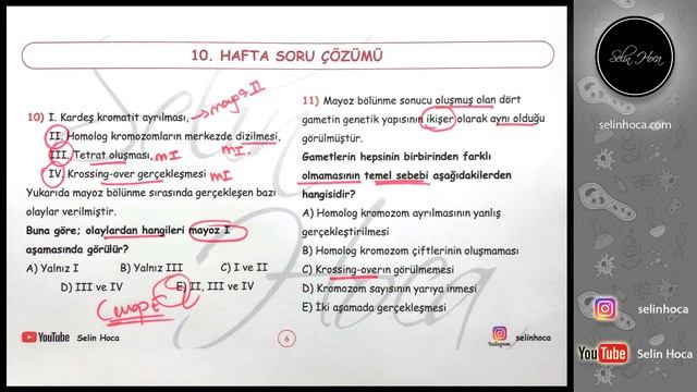 10. Hafta Biyoloji Soru Çözümü смотреть онлайн