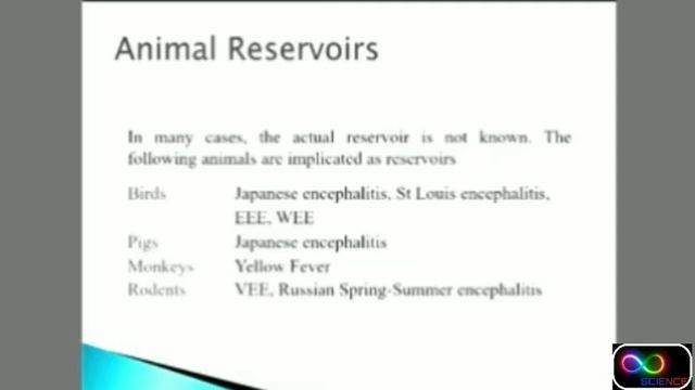 ARBOVIRUSES|MICROBIOLOGY|Arbovirus Microbiology Lecture
