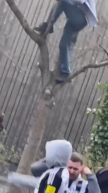 🍺 Пивас перевесил 🍺 😉✌️😂 смотреть онлайн