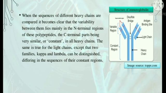 Genome Rearrangement ||Molecular biology|| смотреть онлайн