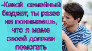 - Какой семейный бюджет, ты разве не понимаешь, что я маме своей должен помогать