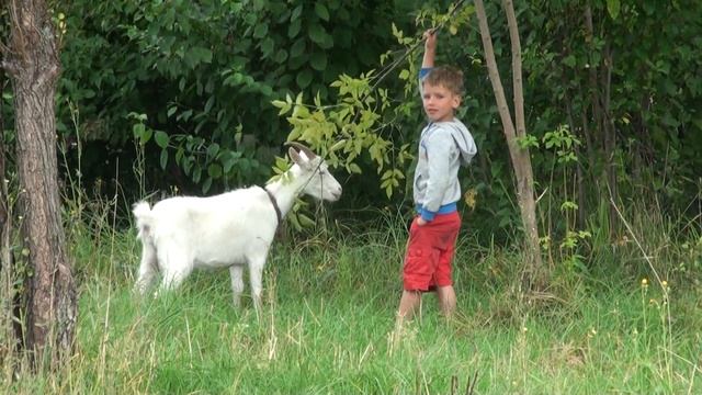 Фестиваль «Вкус простой жизни» в Экоцентре Юшки (25.08.2014) - 00277 смотреть онлайн