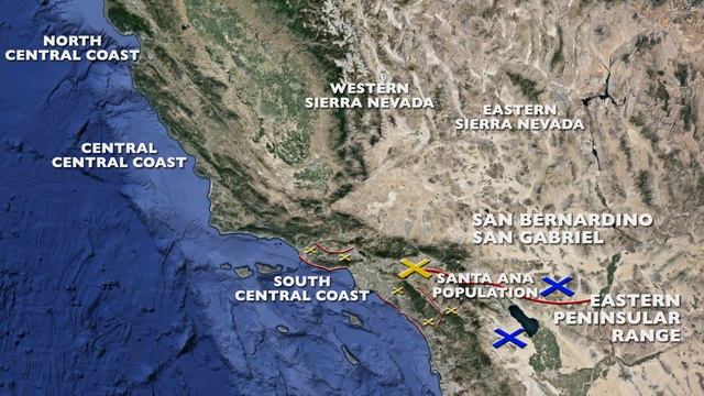 California Mountain Lions, Bonus: The Connection Conflict смотреть онлайн