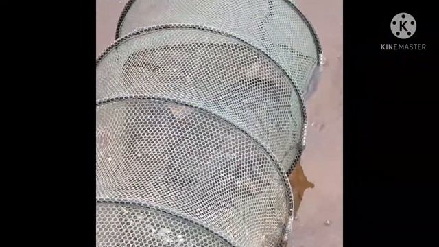⚘Улов карасей на Днепре .💥💥💥 смотреть онлайн